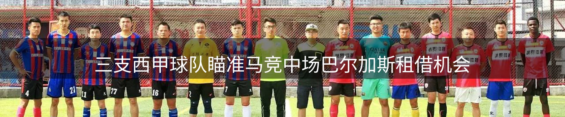行业简报
