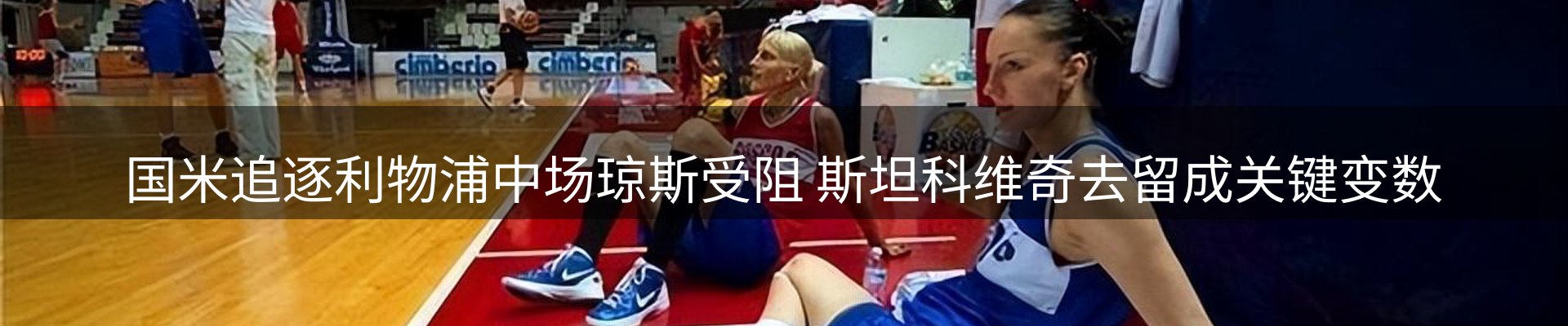 行业简报