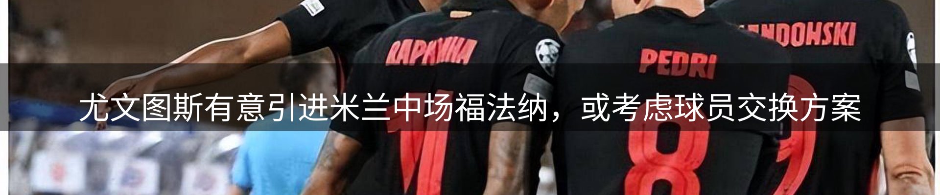 行业简报
