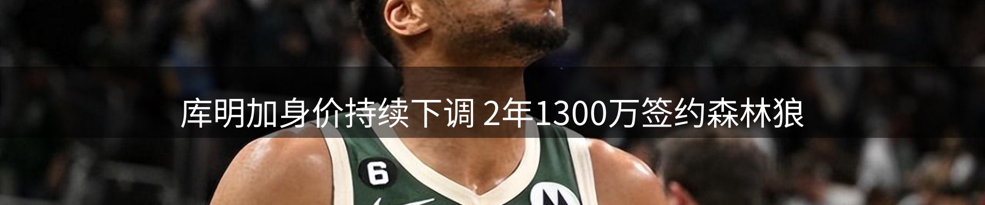 行业简报