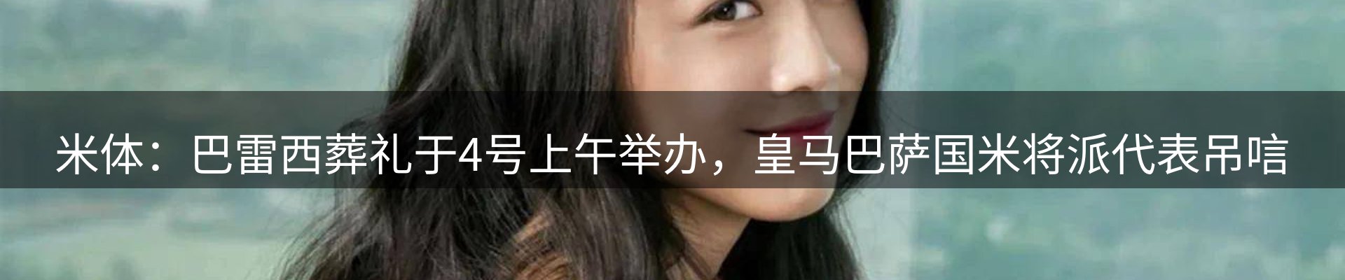 行业简报