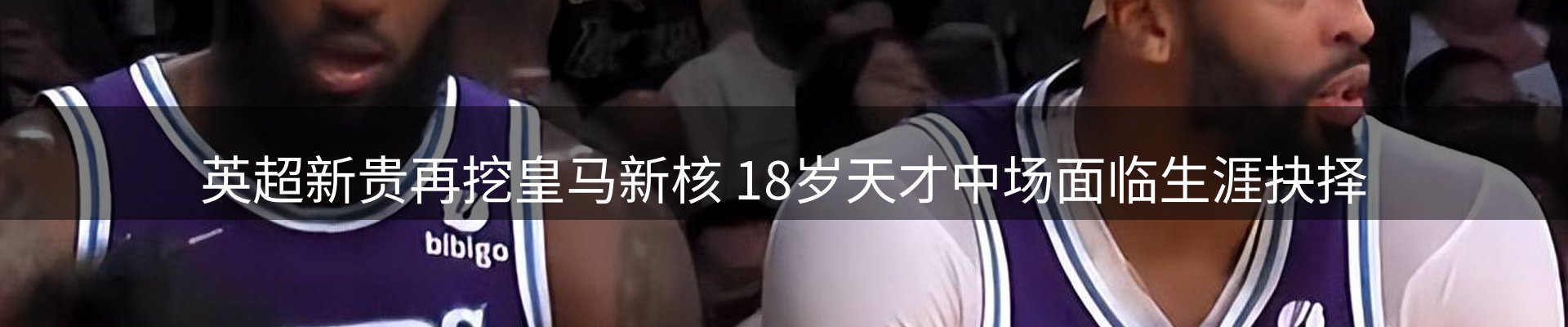 行业简报